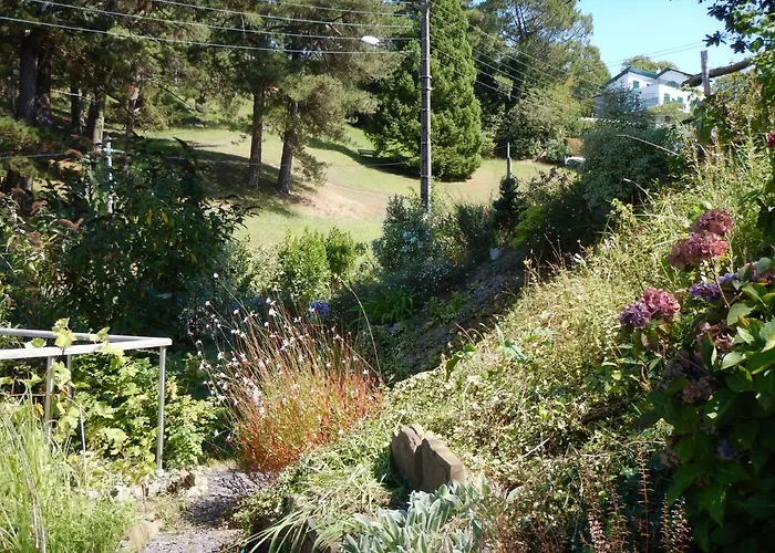 住宿加早餐酒店 Dorre Pean